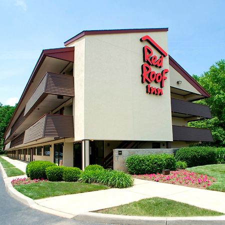 Red Roof Inn Albany Airport מראה חיצוני תמונה